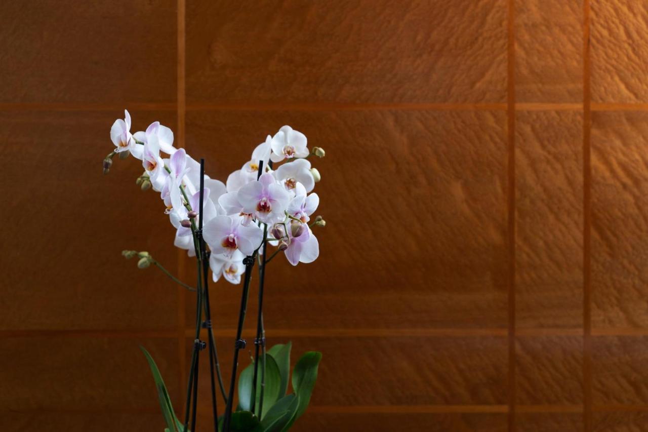Como The Halkin London Luaran gambar